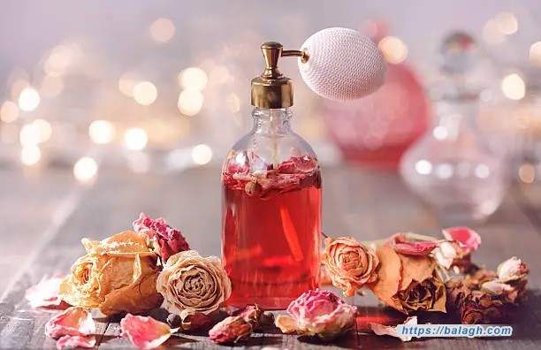 العطر أساس الأناقة