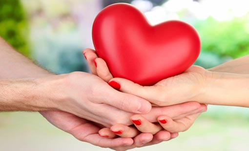 كيميائية الإنسان والسعادة الزوجية