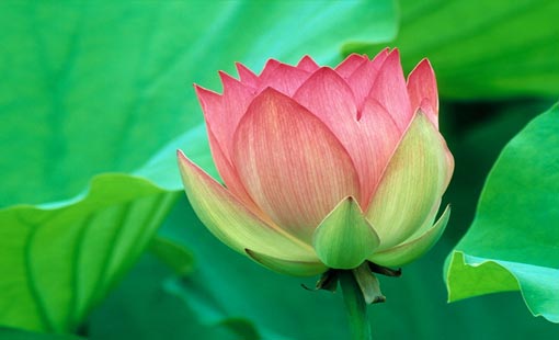 هل أنتِ مستعدة لبدء حياتك الجديدة بعد الطلاق؟