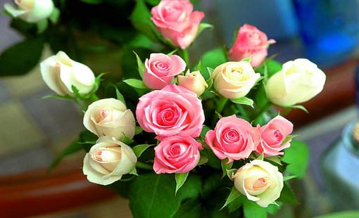 كيف نفهم الوضع النفسي للمراهقات؟