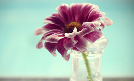 كيف تحبّين نفسك وتثقين بها؟