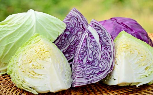 فوائد الملفوف للحامل