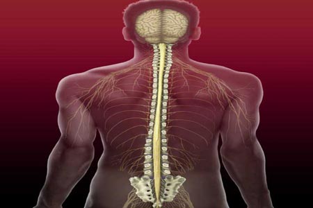 أمل لمرضى النخاع الشوكي