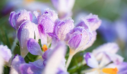 هل تُجيدين تحديد أولوياتك في الحياة؟