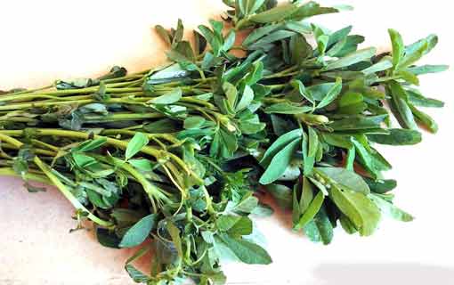 العلاج الطبيعي للالتهاب الرئوي