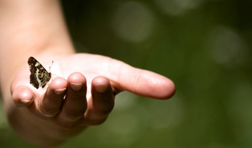 اختبري مدى صدق حدسك؟