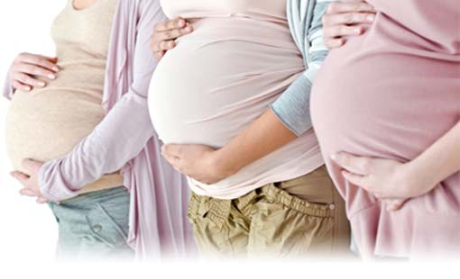 كثرة الإنجاب مضاد طبيعي للشيخوخة