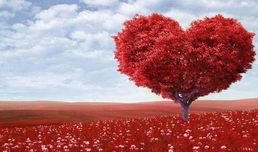 حادث سير عاطفي