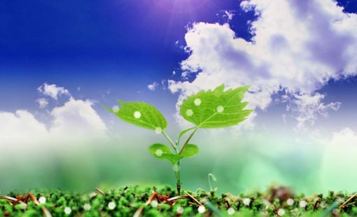 العمل الصالح المدعوم بالإيمان