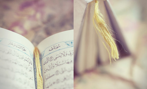 الفطرة في القرآن الكريم