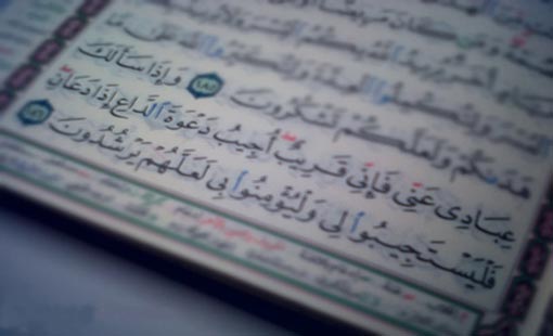 التوكل والطريق الشائك