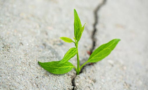 المعالجة التربوية للقضايا الحياتية