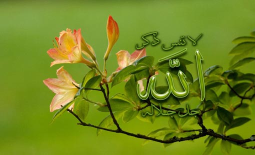 أصول التوكل...