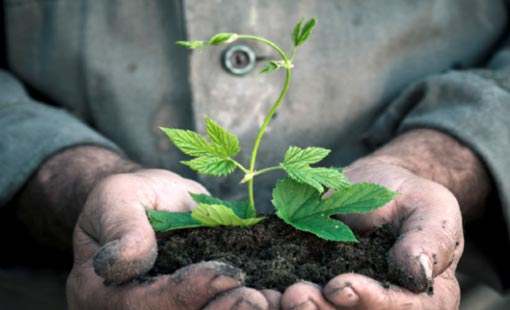 روائع الإيثار