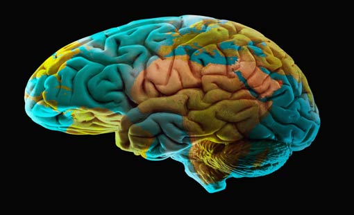 الحقائق دعائم العقل