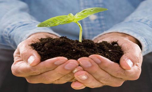 النصيحة والموعظة