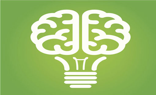 بين التجديد والمرونة