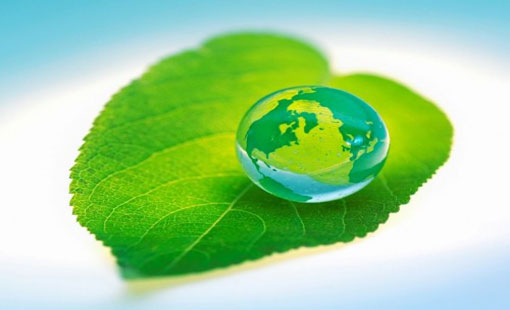 دور الدين في الحياة الاجتماعية