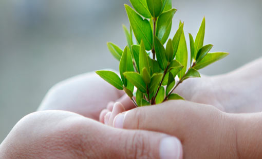 غاية الخلق.. الطريق إلى الكمال