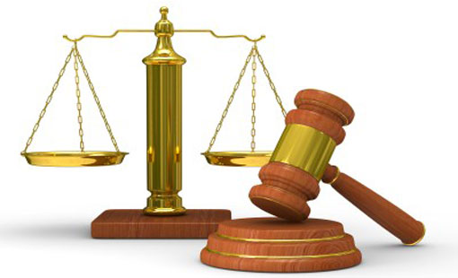 حقوق المرأة تشابه أم مساواة؟