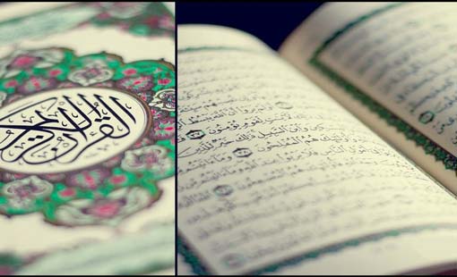 «ولم نك نطعم المسكين»