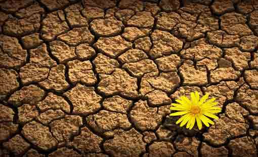 العنف ضد المرأة.. مفهومه وصوره