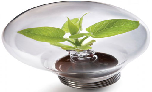 الثقة بالنفس والتوكل