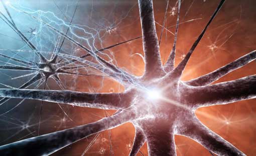 أسرار الجهاز العصبي في الإنسان