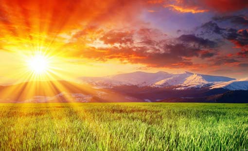 تنمية الإحساس بالجمال