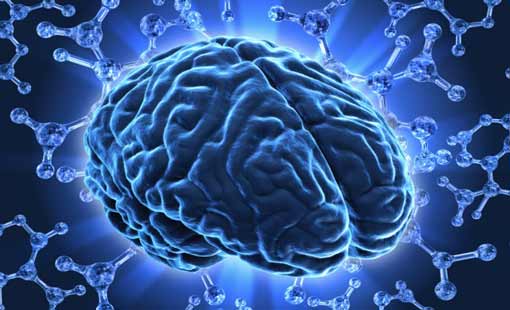 احترام العقل وإعطاءه الدور اللّائق