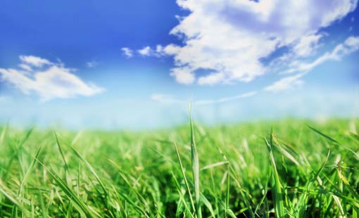 منهج الإسلام في التربية والإصلاح