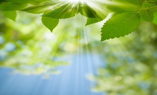 علاج الحسد بـ « النقاء الروحي»