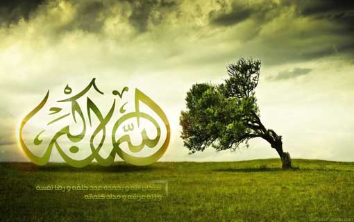 آل عمران عائلة عظيمة