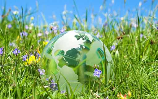 البيئة الإقتصادية.. الأداء والإستدامة