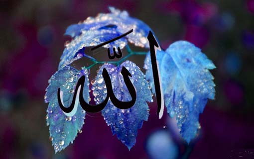 الدين النصيحة