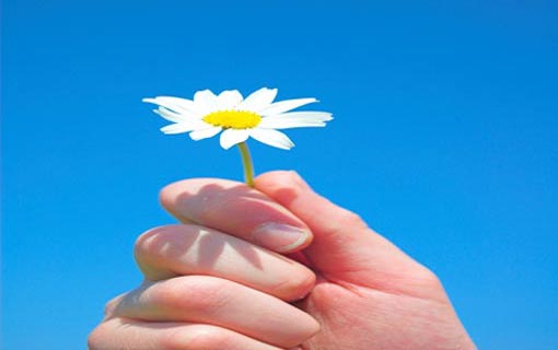 الإيمان الفطري