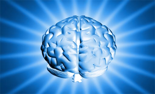 الخطوط العامة للبيئة الفكرية