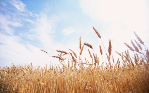 الصبرْ أمام اختبارات الله