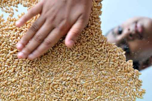 الصِّلة بين الإنتَاج وَالتَداول