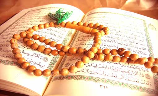 الذاكرة والتعلُّم والنشاط العقلي.. آيات الحكمة الإلهية