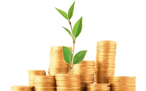 الثروة وتوزيعها في الاقتصاد الإسلامي