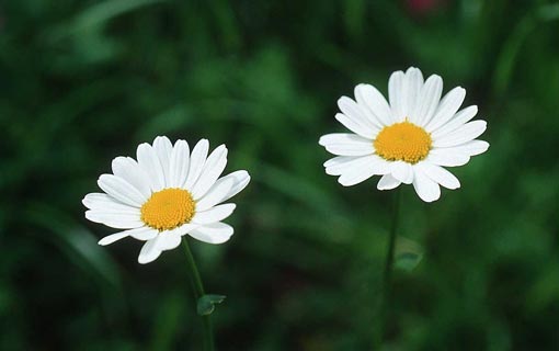 التنمية الروحية والخلقية