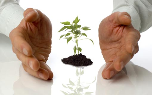 التنمية من منظور قرآنيّ