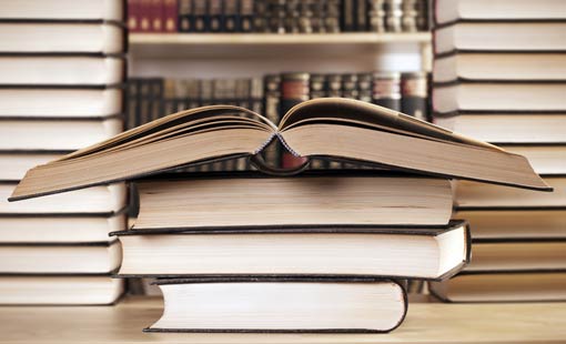 دور الشخصية في التاريخ