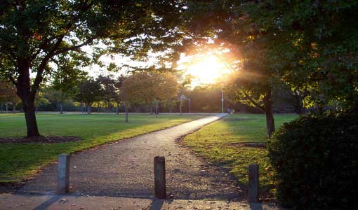 الفطرة تمهد السبيل إلى الله