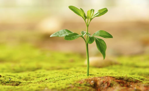 فلسفة النظريّة الأخلاقية