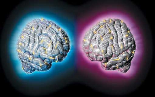 غياب الحوار الفلسفي