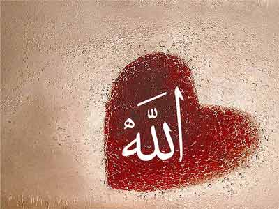 القلب (Heart)