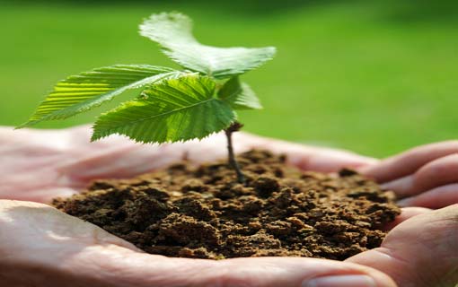 كيف نواجه التعصُّب؟