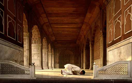 كثرة الشاكين وقلة الشاكرين